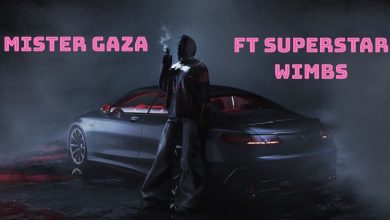 Mister Gaza ft. Superstar Wimbs - On A Low