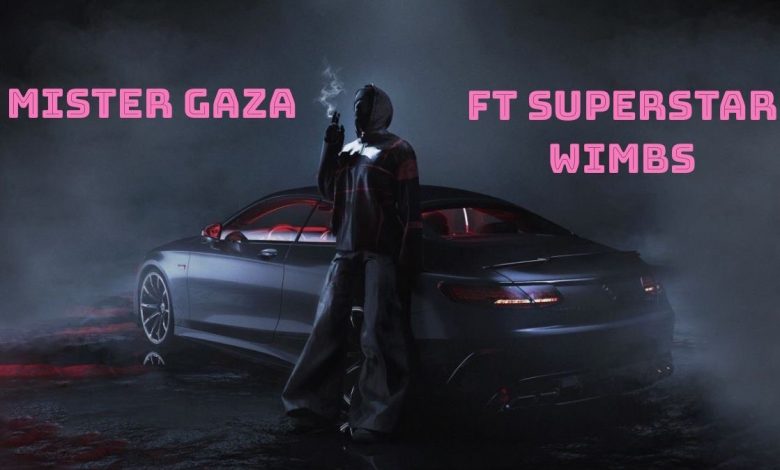 Mister Gaza ft. Superstar Wimbs - On A Low